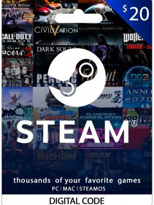 STEAM 20 USD